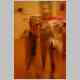 CRW_0076_RJ.jpg