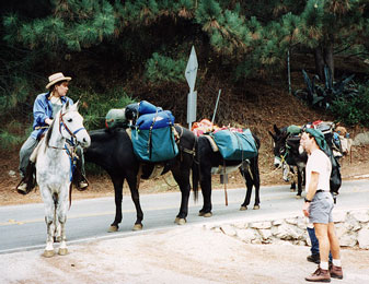 Mule train leaving trailhead -- by Valerie