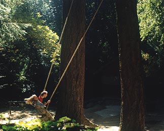 Swing for Two Outdoors -- by Ned
